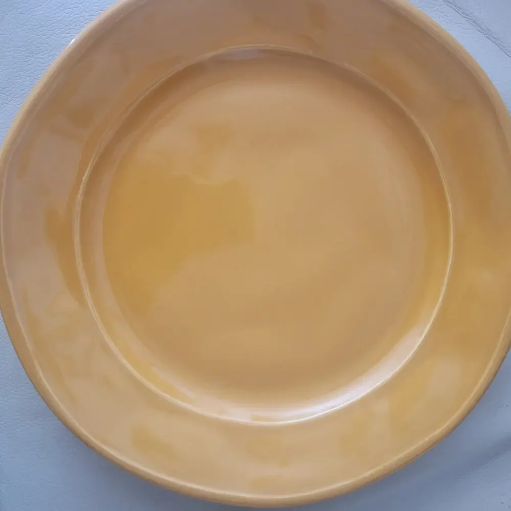 Euro Ceramic Portugal SAFARI Burnt-Orange Stoneware Salad Plates 9 in Boho Set 4